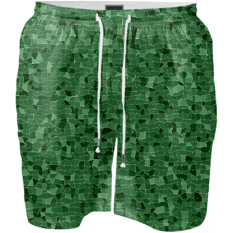 Emerald Swim Shorts