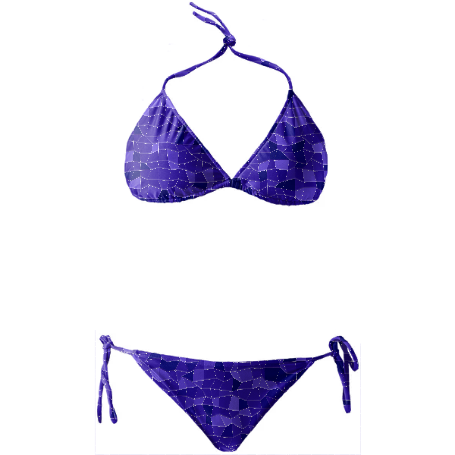 Blueberry Bikini