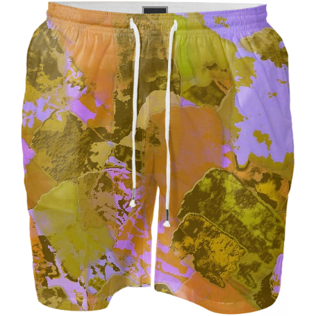 Orange Paint Swim Shorts