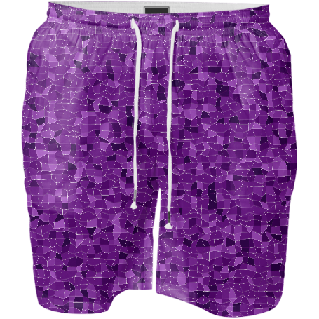 Grape Swim Shorts