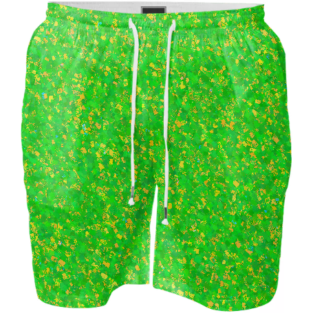 Painter - Green Swim Shorts