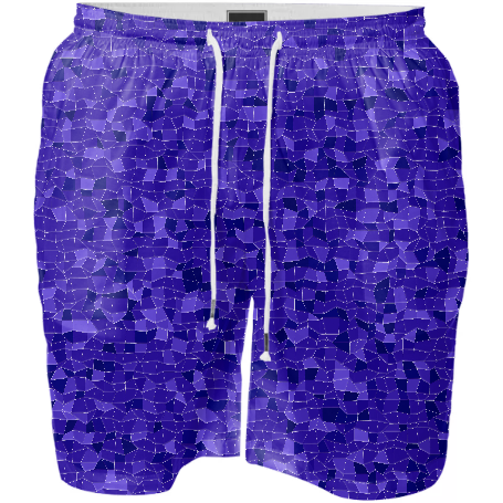 Blueberry Swim Shorts