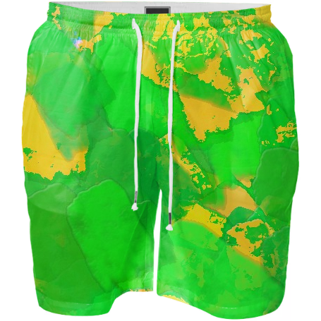 Green Paint Swim Shorts